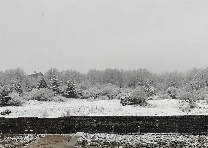 Downtown Bansko- Eliko Appartement *